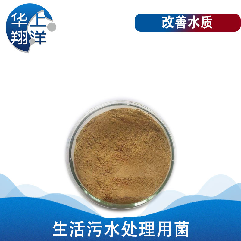 生活污水处理专用菌-Special bacteria for domestic sewage treatment